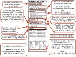 Net Carbs Powersizes Protein